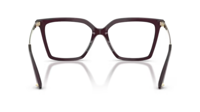 Jimmy Choo JC3054U
